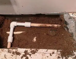 罗甸测漏水哪家好